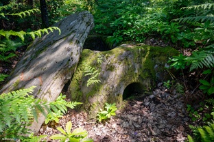 Ведьмёныш. Инкогнита