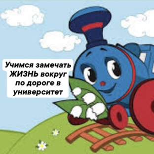 Учимся замечать жизнь вокруг себя по дороге в университет
