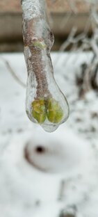 Сила природы