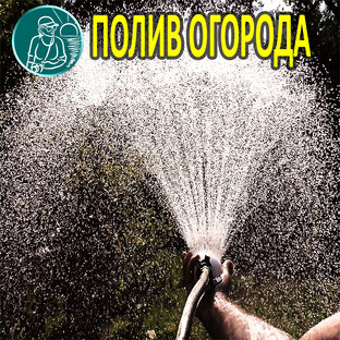 Полив огорода от А до Я по технологии Гордеевых