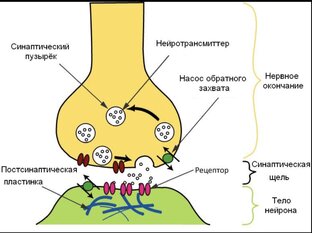 Антидепрессанты