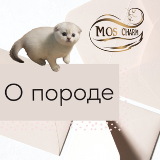 О породе