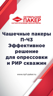 Чашечные пакеры П-Ч3 Эффективное решение для опрессовки и РИР скважин