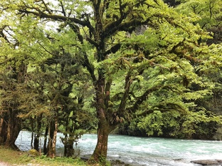 Послание на день. 