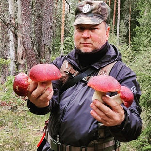 Сбор Гриба в Карелии, Псковской области, Ленинградской области!!