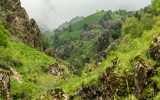 Природа Узбекистана