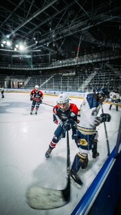 Хайлайты