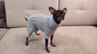 Вязание спицами 