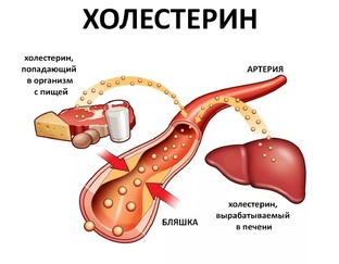 Холестерин и жиры