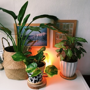 Полезные статьи 