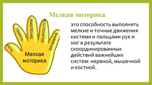 Мелкая моторика