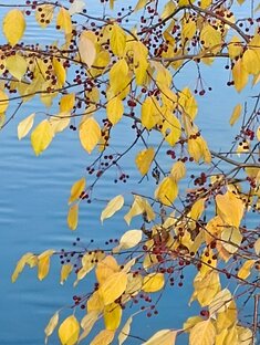 Времена года: осень.