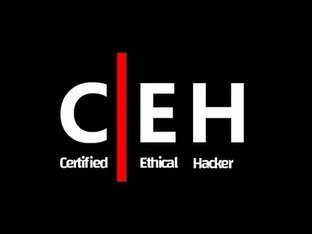$C*E*H*v*1*2$
