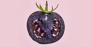 20 ФАКТОВ О...