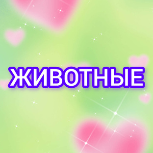 Животные