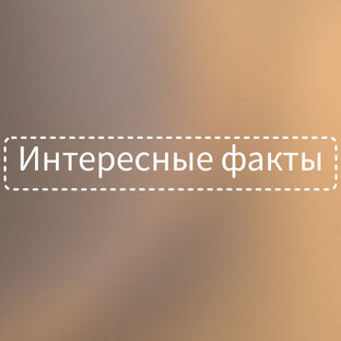 Интересные факты💭