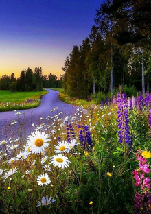 Прогулки🌈🌨️🏕️🌳🌲