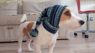 ВЯЖЕМ ВМЕСТЕ