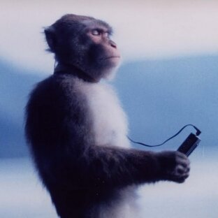 Полезные статьи 