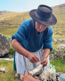 все ожизни в андах