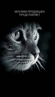 Муслим и его дела