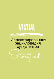 Визуальная энциклопедия