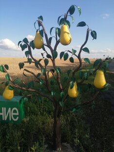 Огородные работы