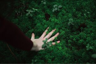 Истории из жизни