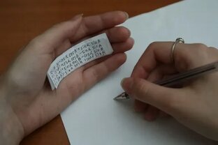 Сливы ОГЭ. Проблема современности