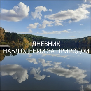 Сибирские зарисовки
