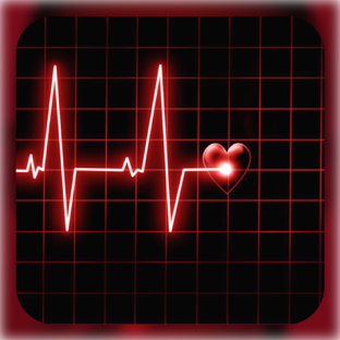 Здесь бьется пульс СЕЙЧАС