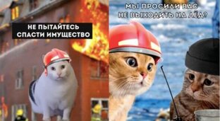 Интересное  - от спасателей