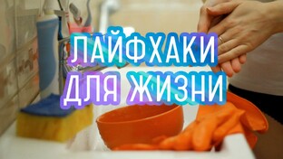 Лайфхаки для Повседневной Жизни