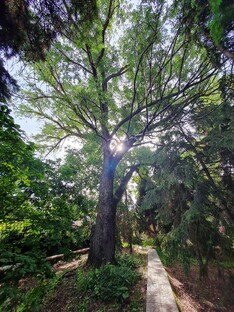 💚НАША//ПРИРОДА💚