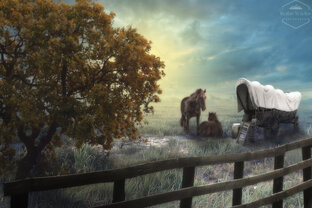 Записи стримов ДокторМД