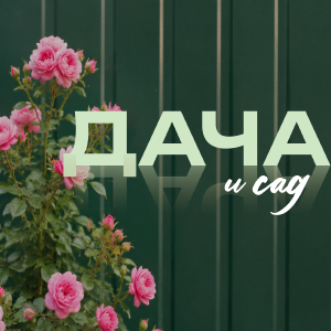 Дача и сад