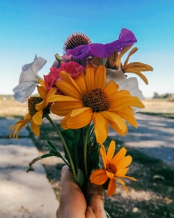 Психология, развитие, мысли вслух