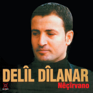 Delil Dilanar MİX