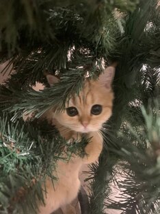 Работа. Заработок