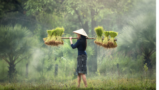 Короткие обзоры отелей