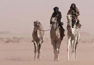 Путешествия и география