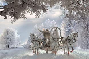 О путешествиях на автомобилях и любом виде транспорта.