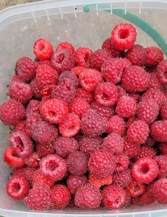 Мои продажи на Авито