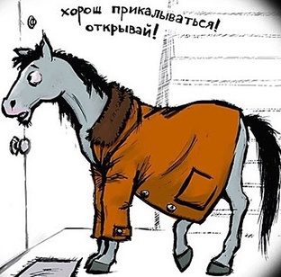 Юмор и позитив