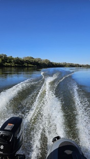Прогулки