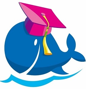 О нашем Центре