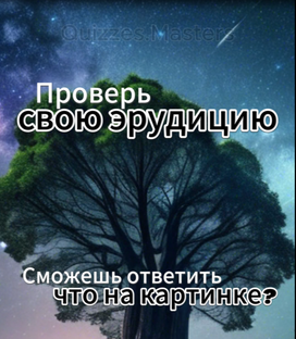 Проверь свою эрудицию! Задача с картинками.