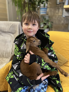 Влоги о хозяйстве