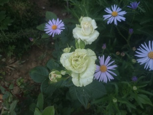 Большие победы маленькой женщины