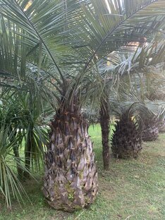 При любой возможности -инвестируйте .